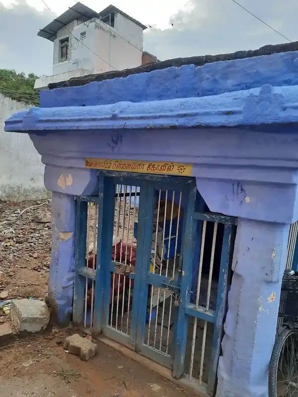 Arulmigu Swamy Ennayiram Pillaiyar And Mari Muppidari Amman Temple, Tirunelveli - 627006 அருள்மிகு சுவாமி என்னாயிரம் பிள்ளையார், அருள்மிகு மாரி முப்பிடாரி அம்மன் திருக்கோயில், Tirunelveli - 627006, Tirunelveli - Ancient Temple Architecture and History Image 4