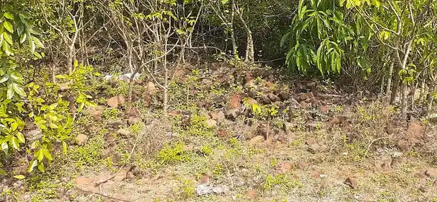 Arulmigu Swamy Natha Samy Temple, Thillaivilagam - 614706