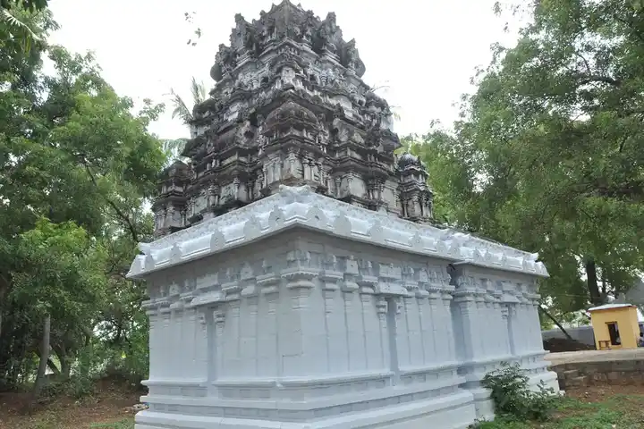 Arulmigu Swamy Venkadasalapathi Vagaiyara Temple, Nainaragaram - 627804 அருள்மிகு சுவாமி வெங்கடாசலபதி வகையறா திருக்கோயில், Nainaragaram - 627804, Tenkasi - Ancient Temple Architecture and History Image 2