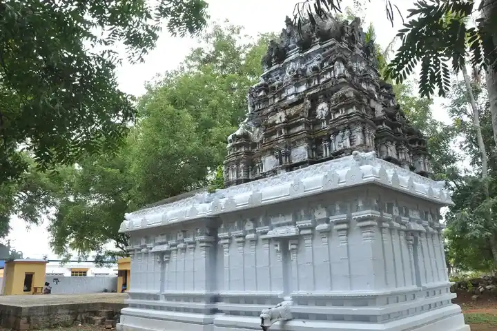 Arulmigu Swamy Venkadasalapathi Vagaiyara Temple, Nainaragaram - 627804 அருள்மிகு சுவாமி வெங்கடாசலபதி வகையறா திருக்கோயில், Nainaragaram - 627804, Tenkasi - Ancient Temple Architecture and History Image 3