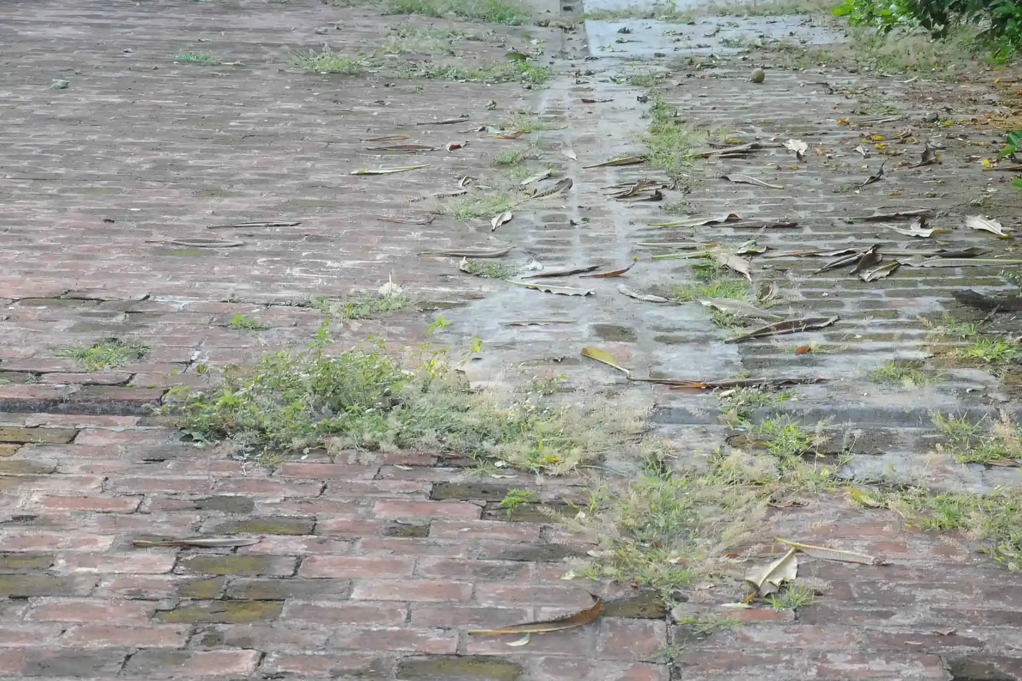 Arulmigu Swarnapureeswarar And Gopalakrishnaperumal Temple, Asikadu - 609806 அருள்மிகு சுவர்ணபுரீஸ்வரர் திருக்கோயில், Asikadu - 609806, Mayiladuthurai - Ancient Temple Architecture and History Image 3