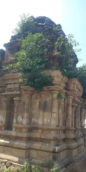 Arulmigu Swarnapurishwarar Temple, Gopurajapuram - 614205 அருள்மிகு சுவர்ணபுரீஸ்வரர் திருக்கோயில், Gopurajapuram - 614205, Thanjavur - Ancient Temple Architecture and History Image 4