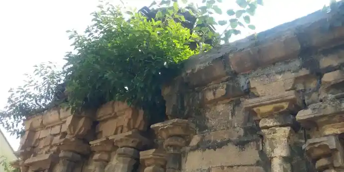 Arulmigu Swarnapurishwarar Temple, Gopurajapuram - 614205 அருள்மிகு சுவர்ணபுரீஸ்வரர் திருக்கோயில், Gopurajapuram - 614205, Thanjavur - Ancient Temple Architecture and History Image 5