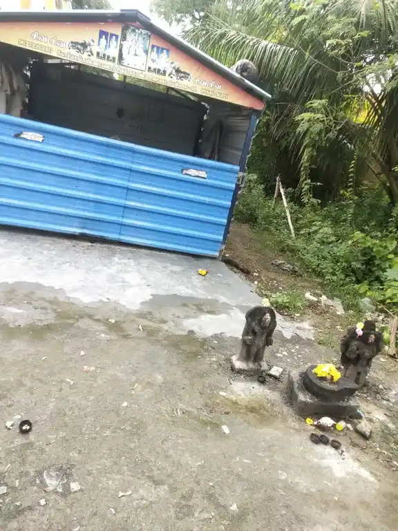 Arulmigu Swarnapuriswarar And Ponniyamman Temple, Pulipakkam - 603107