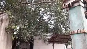 Arulmigu Swarnavinayagar Temple, Salem - 636004 அருள்மிகு சுவர்ணவிநாயகர் திருக்கோயில், Salem - 636004, Salem - Ancient Temple Architecture and History Image 3