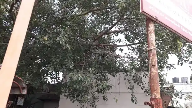 Arulmigu Swarnavinayagar Temple, Salem - 636004 அருள்மிகு சுவர்ணவிநாயகர் திருக்கோயில், Salem - 636004, Salem - Ancient Temple Architecture and History Image 4