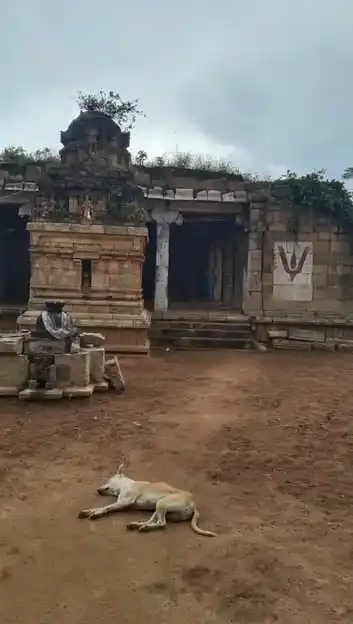 Arulmigu Swethavaraga Perumal Temple, Mahadevapattinam - 614018 அருள்மிகு சுவேதவராகப் பெருமாள் திருக்கோயில், மகாதேவப்பட்டினம் - 614018, Thiruvarur - Ancient Temple Architecture and History Image 4