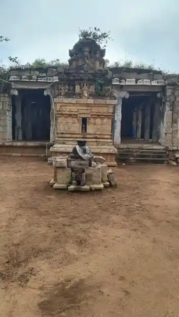 Arulmigu Swethavaraga Perumal Temple, Mahadevapattinam - 614018 அருள்மிகு சுவேதவராகப் பெருமாள் திருக்கோயில், மகாதேவப்பட்டினம் - 614018, Thiruvarur - Ancient Temple Architecture and History Image 8