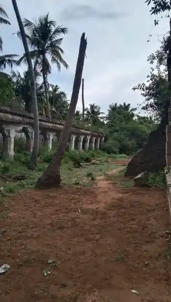 Arulmigu Swethavaraga Perumal Temple, Mahadevapattinam - 614018 அருள்மிகு சுவேதவராகப் பெருமாள் திருக்கோயில், மகாதேவப்பட்டினம் - 614018, Thiruvarur - Ancient Temple Architecture and History Image 10