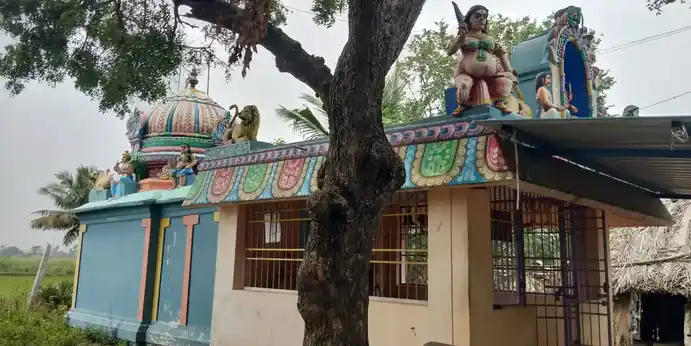 Arulmigu Symaladevi Amman Temple, Viluthivur - 612701 அருள்மிகு சியாமளா தேவியம்மன் திருக்கோயில், விழிதியூர் - 612701, Thanjavur - Ancient Temple Architecture and History Image 3