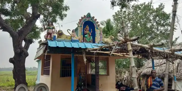 Arulmigu Symaladevi Amman Temple, Viluthivur - 612701 அருள்மிகு சியாமளா தேவியம்மன் திருக்கோயில், விழிதியூர் - 612701, Thanjavur - Ancient Temple Architecture and History Image 4