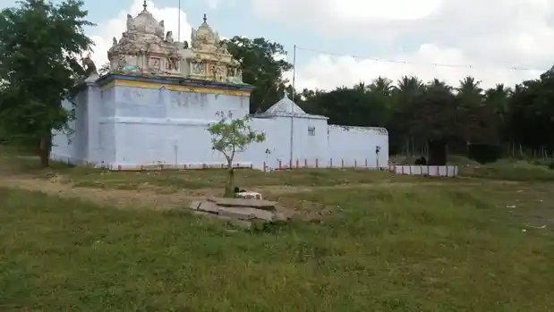 Arulmigu Thaanthondriyamman Temple, Vadasithur - 641202 அருள்மிகு தான்தோன்றியம்மன் திருக்கோயில், Vadasithur - 641202, Coimbatore - Ancient Temple Architecture and History Image 3