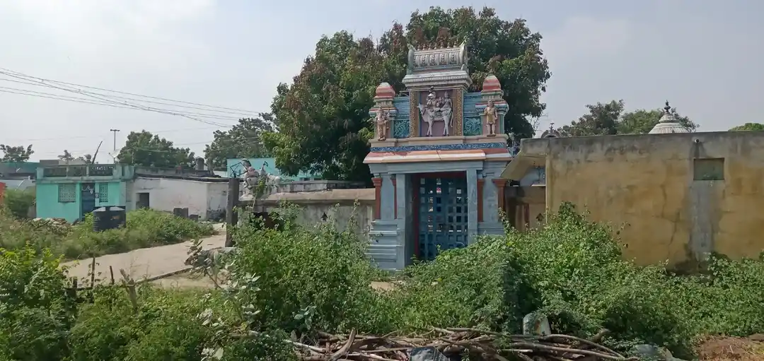 Arulmigu Thaanthonreeswarar Temple, Gurupeedapuram - 606203 அருள்மிகு தன்றோன்றீஸ்வரர் திருக்கோயில், Gurupeedapuram - 606203, Kallakurichi - Ancient Temple Architecture and History Image 4