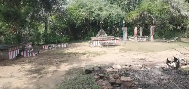 Arulmigu Thaatthaanikkaruppar Pemple, Aariyur - 622102