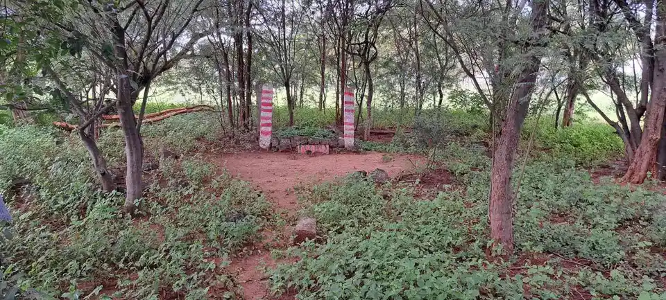 Arulmigu Thadhinayakkanpatti Malaikovil, Thathinayakanpatty - 624802