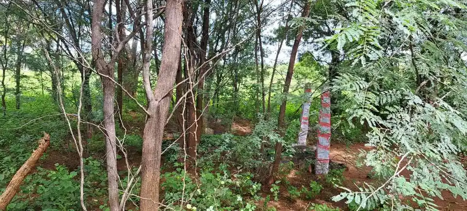 Arulmigu Thadhinayakkanpatti Malaikovil, Thathinayakanpatty - 624802 அருள்மிகு தாதிநாயக்கன்பட்டி மலைக்கோயில்-பெரும்புள்ளி,வேடசந்தூர்,திண்டுக்கல். கோயில், Thathinayakanpatty - 624802, Dindigul - Ancient Temple Architecture and History Image 3