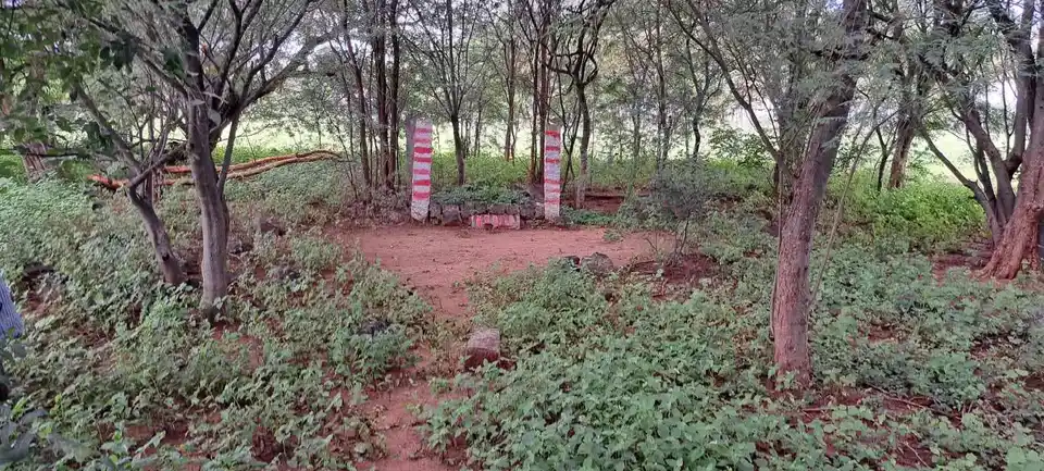 Arulmigu Thadhinayakkanpatti Malaikovil, Thathinayakanpatty - 624802 அருள்மிகு தாதிநாயக்கன்பட்டி மலைக்கோயில்-பெரும்புள்ளி,வேடசந்தூர்,திண்டுக்கல். கோயில், Thathinayakanpatty - 624802, Dindigul - Ancient Temple Architecture and History Image 4