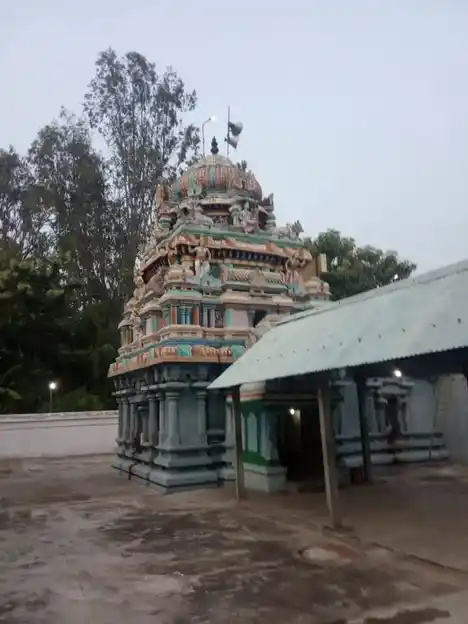 Arulmigu Thagamthirthapurieswarar Temple, Eraiyur - 606111 அருள்மிகு தாகம் தீர்த்தபுரீஸ்வரர் திருக்கோயில், இறையூர் - 606111, Cuddalore - Ancient Temple Architecture and History Image 5
