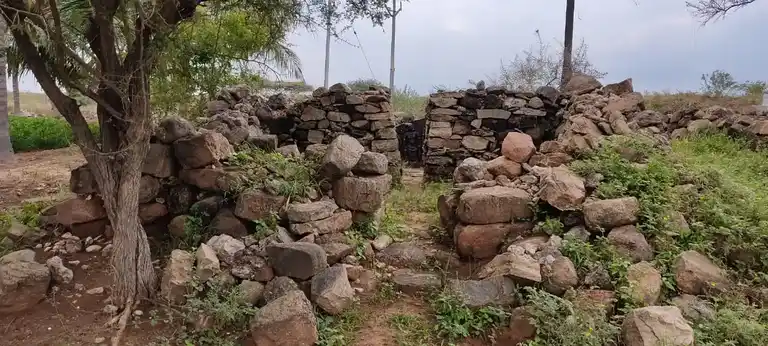 Arulmigu Thainalliamman Temple, Chinnaripalayam - 644665