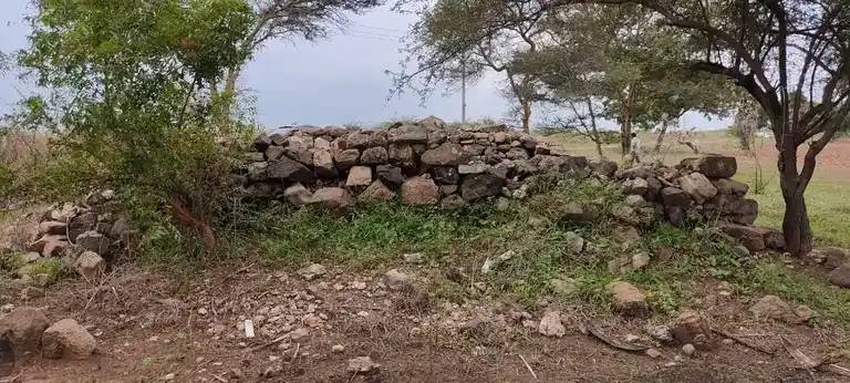 Arulmigu Thainalliamman Temple, Chinnaripalayam - 644665 அருள்மிகு தாய்நல்லியம்மன் திருக்கோயில், சின்னாரிபாளையம் - 644665, Tiruppur - Ancient Temple Architecture and History Image 3