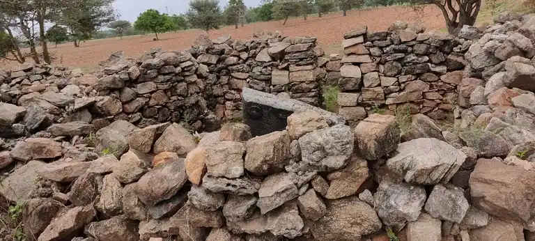 Arulmigu Thainalliamman Temple, Chinnaripalayam - 644665 அருள்மிகு தாய்நல்லியம்மன் திருக்கோயில், சின்னாரிபாளையம் - 644665, Tiruppur - Ancient Temple Architecture and History Image 5