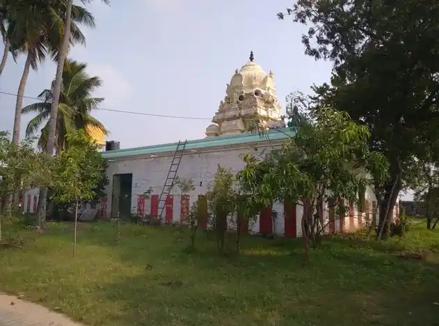 Arulmigu Thaivanageshwarar Temple, Ilamainkottur - 631553 அருள்மிகு தெய்வநாகேஸ்வரர் திருக்கோயில், இளமைன்கோட்டூர் - 631553, Kancheepuram - Ancient Temple Architecture and History Image 3