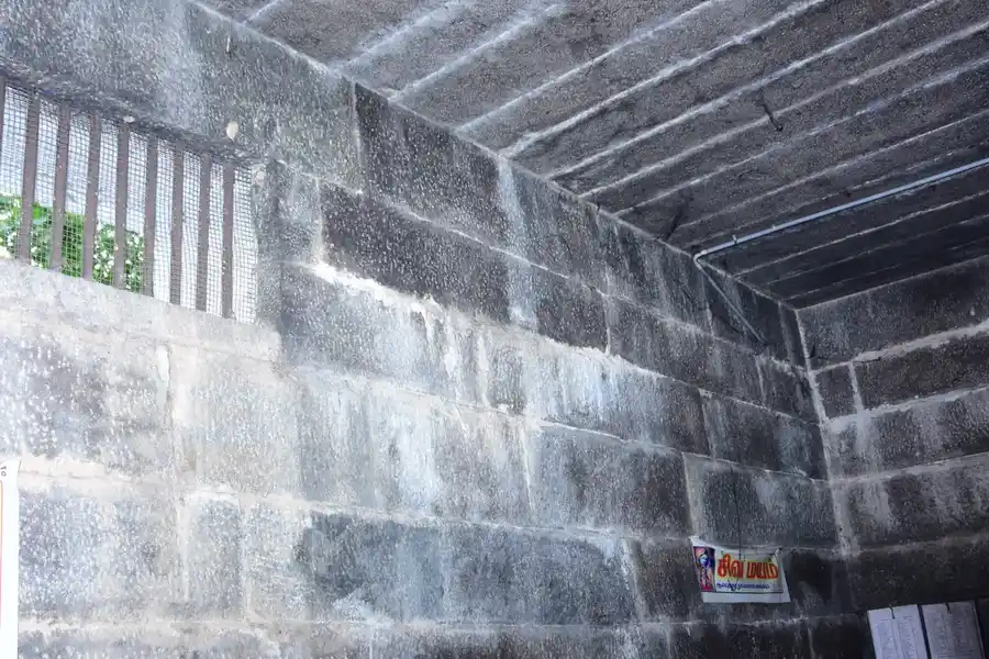 Arulmigu Thaivanageshwarar Temple, Ilamainkottur - 631553 அருள்மிகு தெய்வநாகேஸ்வரர் திருக்கோயில், இளமைன்கோட்டூர் - 631553, Kancheepuram - Ancient Temple Architecture and History Image 5