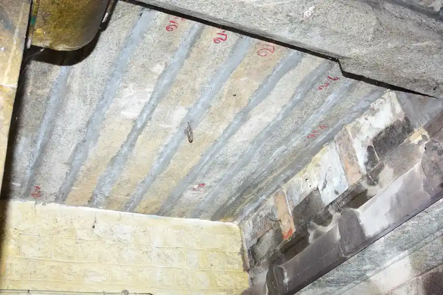 Arulmigu Thaivanageshwarar Temple, Ilamainkottur - 631553 அருள்மிகு தெய்வநாகேஸ்வரர் திருக்கோயில், இளமைன்கோட்டூர் - 631553, Kancheepuram - Ancient Temple Architecture and History Image 6