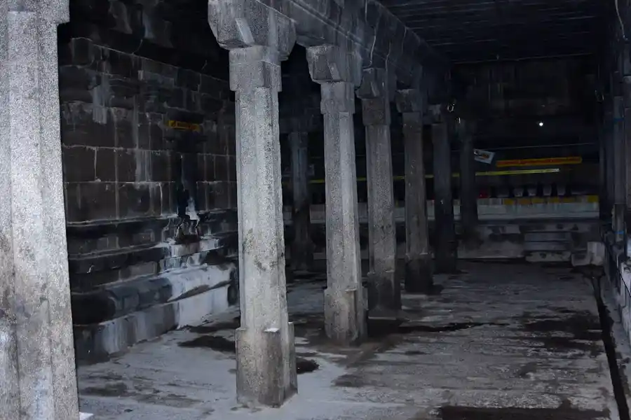 Arulmigu Thaivanageshwarar Temple, Ilamainkottur - 631553 அருள்மிகு தெய்வநாகேஸ்வரர் திருக்கோயில், இளமைன்கோட்டூர் - 631553, Kancheepuram - Ancient Temple Architecture and History Image 9