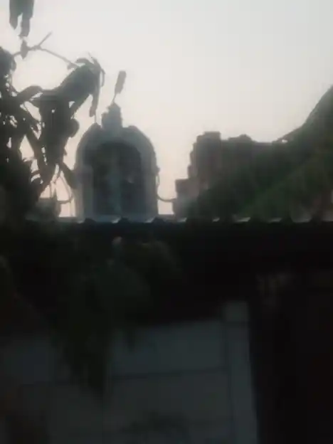 Arulmigu Thaiyal Nayaki Amman Temple, Ambalavananenthal - 614618 அருள்மிகு தையல்நாயகி அம்மன் திருக்கோயில், Ambalavananenthal - 614618, Pudukkottai - Ancient Temple Architecture and History Image 2