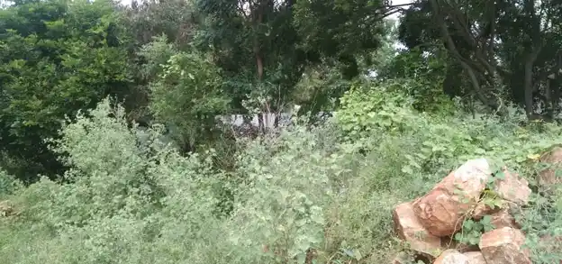 Arulmigu Thalaiyuthu Kannimaar Temple, Sevugampatty - 624211