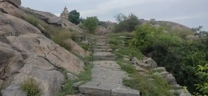 Arulmigu Thalakirieswarar Temple, Hill Top, Panamalai - 605201 அருள்மிகு தாளகிரீஸ்வரர் திருக்கோயில், குன்றின் மேல், பனமலை - 605201, Viluppuram - Ancient Temple Architecture and History Image 4