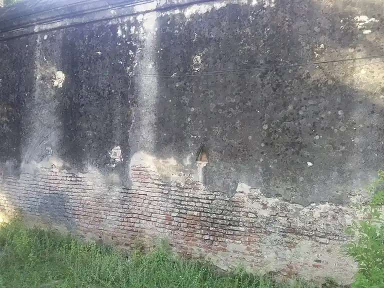 Arulmigu Thalikeshwarar Temple, Vennaru Vadakarai, Thanjavur - 613003 அருள்மிகு தளிகேஸ்வரர் சுவாமி திருக்கோயில், Vennaru Vadakarai, Thanjavur - 613003, Thanjavur - Ancient Temple Architecture and History Image 4