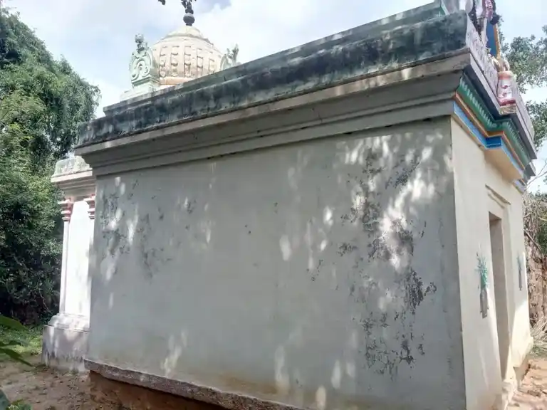 Arulmigu Thalinchiraayar Ayyanar Temple, Udaiyaalipatti - 622502 அருள்மிகு தழிஞ்சிராயர் அய்யனார் திருக்கோயில், உடையாளிப்பட்டி - 622502, Pudukkottai - Ancient Temple Architecture and History Image 3