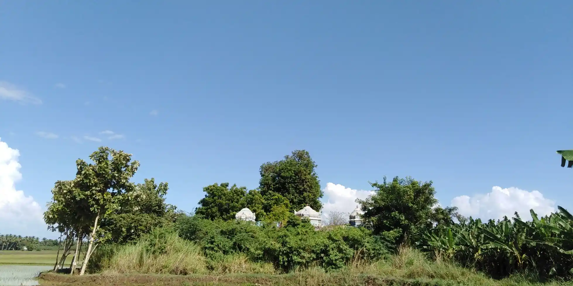 Arulmigu Thaluvakoluntheeswarar Temple, Pazhavoor - 627114 அருள்மிகு தழுவக்கொழுந்தீஸ்வரர் திருக்கோயில், பழவூர் - 627114, Tirunelveli - Ancient Temple Architecture and History Image 2