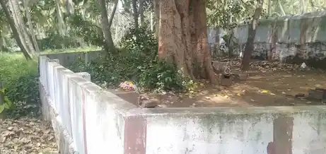 Arulmigu Thamburan Temple, Choliyarkonam - 629180