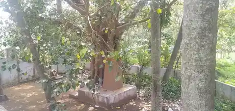 Arulmigu Thamburan Temple, Choliyarkonam - 629180 அருள்மிகு தம்புரான் திருக்கோயில், Choliyarkonam - 629180, Kanyakumari - Ancient Temple Architecture and History Image 3