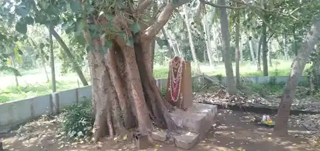 Arulmigu Thamburan Temple, Choliyarkonam - 629180 அருள்மிகு தம்புரான் திருக்கோயில், Choliyarkonam - 629180, Kanyakumari - Ancient Temple Architecture and History Image 4