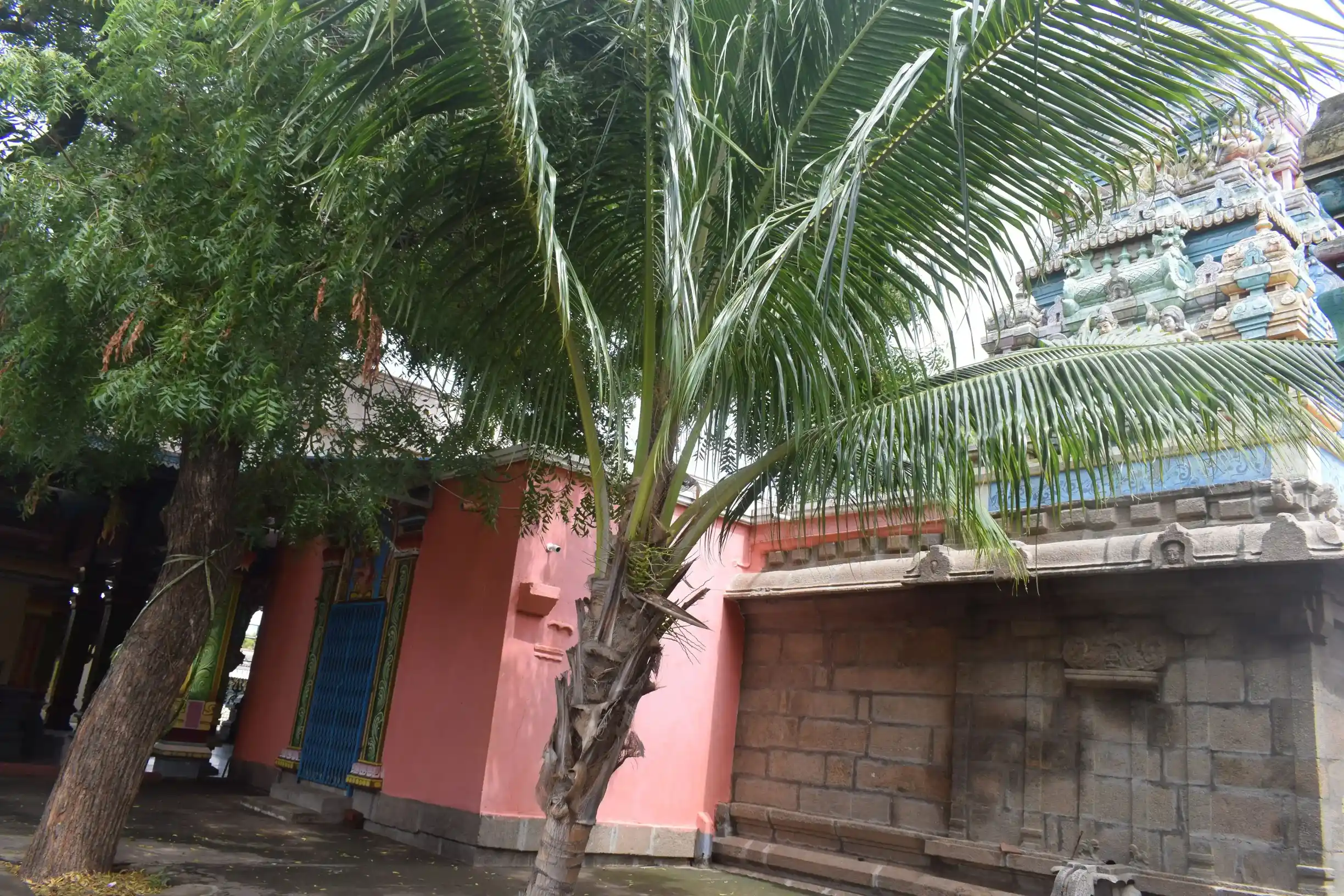 Arulmigu Thampiratty Amman Temple, Keelapuliyur - 627811 அருள்மிகு தம்புராட்டியம்மன் திருக்கோயில், கீழப்புலியூர் - 627811, Tenkasi - Ancient Temple Architecture and History Image 3