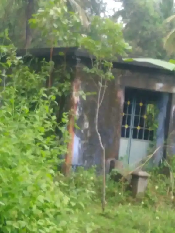 Arulmigu Thampuran Temple, Padmanabhapuram - 629175 Arulmigu Thampuran Temple, Padmanabhapuram - 629175, Kanyakumari - Ancient Temple Architecture and History Image 3