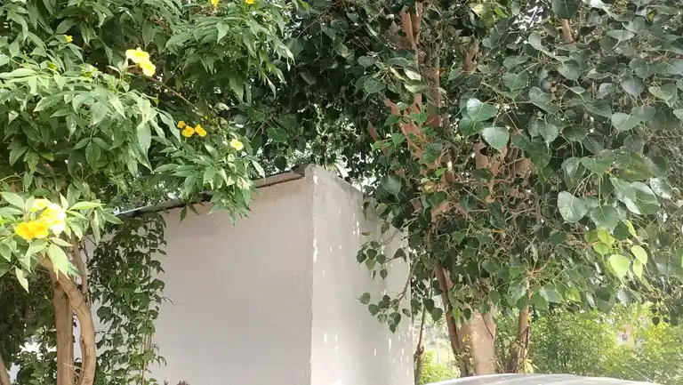 Arulmigu Thanachiappar Temple, Othakalmandapam - 641032 அருள்மிகு தன்னாசியப்பர் திருக்கோயில், ஒத்தக்கால்மண்டபம் - 641032, Coimbatore - Ancient Temple Architecture and History Image 7