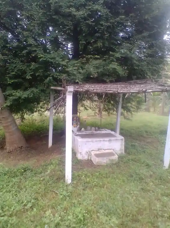 Arulmigu Thanasiappar Temple, Arthanaripalayam - 642007 அருள்மிகு தன்னாசியப்பர் திருக்கோயில், அர்தநாரிபாளையம் - 642007, Coimbatore - Ancient Temple Architecture and History Image 3