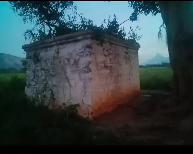 Arulmigu Thanduveerabathiraswamy Temple, Kollrur - 635108 அருள்மிகு தண்டுவீரபத்திர சுவாமி திருக்கோயில், கொள்ரூர் - 635108, Krishnagiri - Ancient Temple Architecture and History Image 5