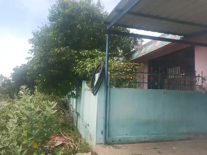 Arulmigu Thanga Vinayagar And Muneeswarar Temple, Thaamaraikulam Vadakarai, Mannargudi - 614001 அருள்மிகு தங்கவிநாயகர் மற்றும் முனீஸ்வரர் திருக்கோயில், Thaamaraikulam Vadakarai, Mannargudi - 614001, Thiruvarur - Ancient Temple Architecture and History Image 7