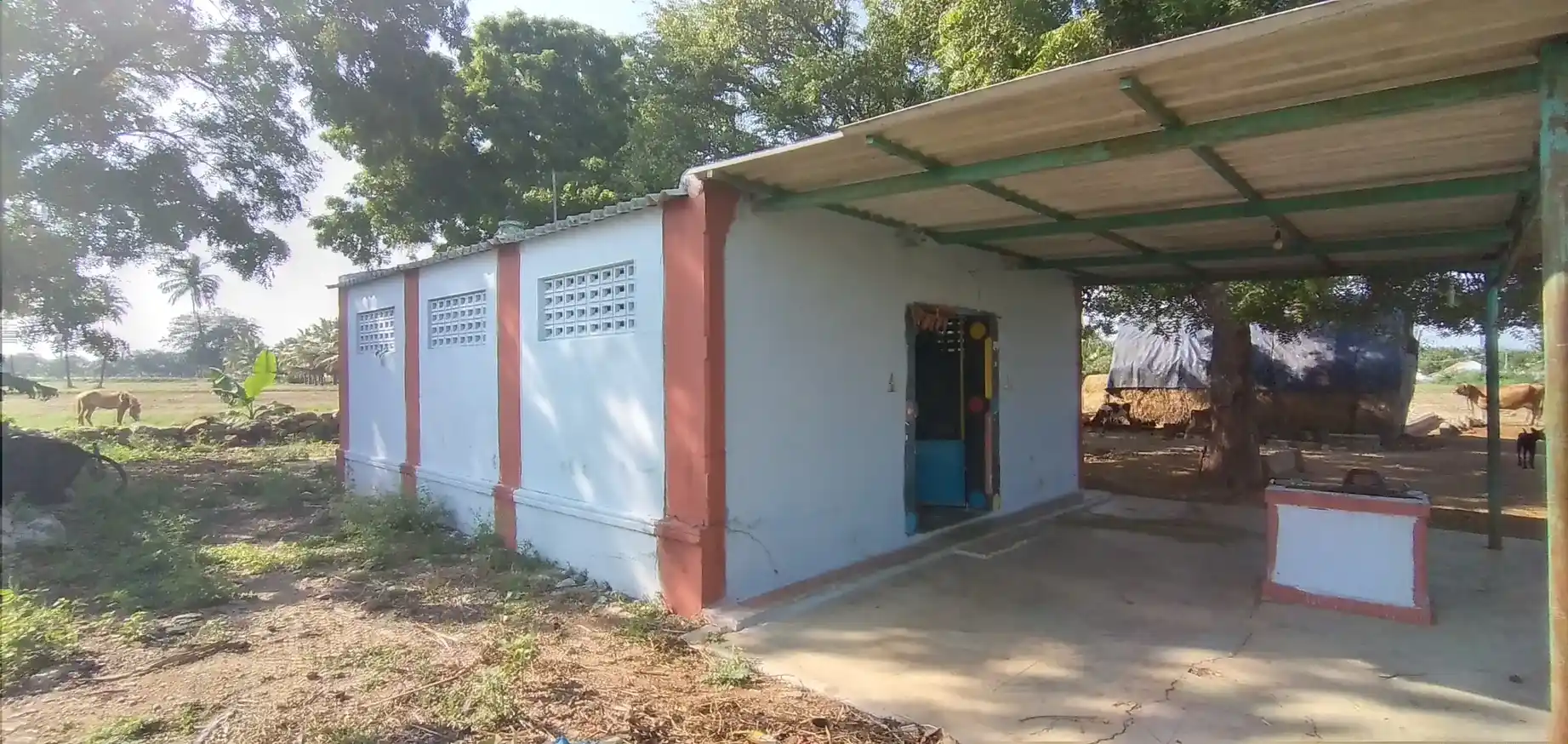 Arulmigu Thangammal Temple, Elayamuthuru - 642154 அருள்மிகு தங்கம்மாள் திருக்கோயில், Elayamuthuru - 642154, Tiruppur - Ancient Temple Architecture and History Image 2