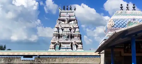 Arulmigu Thangamman Temple, Thamareddipalayam, Kangeyam - 638701 அருள்மிகு தங்கம்மன் திருக்கோயில், Thamareddipalayam, Kangeyam - 638701, Tiruppur - Ancient Temple Architecture and History Image 8