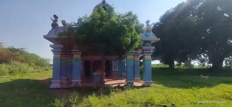 Arulmigu Thaniyathamman Temple, Out Side The Village, Othappai - 602001
