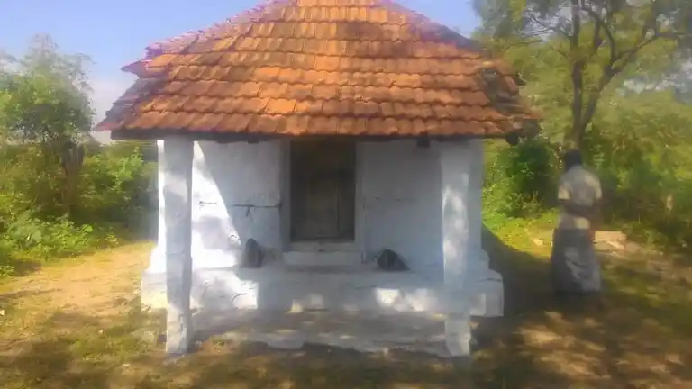 Arulmigu Thannaputhuperumal Temple, Semagoundernpudur, Kilangundal - 638106 அருள்மிகு தன்னப்புத்தூர் பெருமாள் திருக்கோயில், செம்மகவுண்டன்புதுார், கிழங்குண்டால் - 638106, Tiruppur - Ancient Temple Architecture and History Image 4