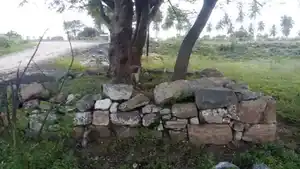 Arulmigu Thanneerpandal Dharmam, Muthampalayam - 638812 அருள்மிகு தண்ணீர்பந்தல்தர்மம், முத்தம்பாளையம் தர்மம், Muthampalayam - 638812, Tiruppur - Ancient Temple Architecture and History Image 7