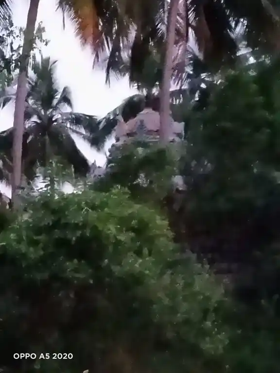 Arulmigu Thanthodrieswarar Temple, Kodumpappattai - 621308 Arulmigu Thanthodrieswarar Temple, Kodumpappattai - 621308, Thiruchirappalli - Ancient Temple Architecture and History Image 4